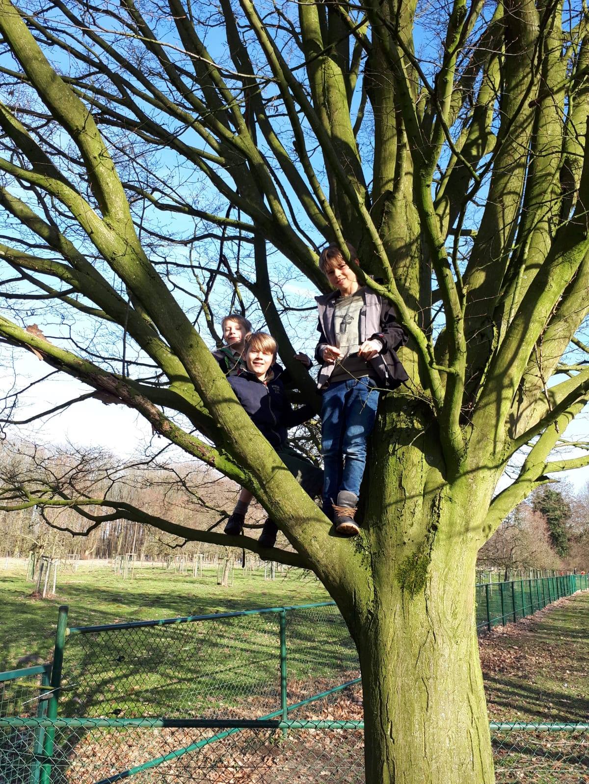 Sint-Martinus den XIIde - Ladderspel WK